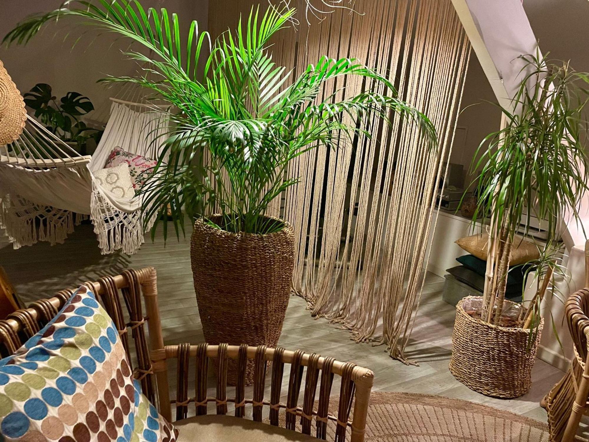 Chambre Boheme Chez Rachel Pau Eksteriør billede